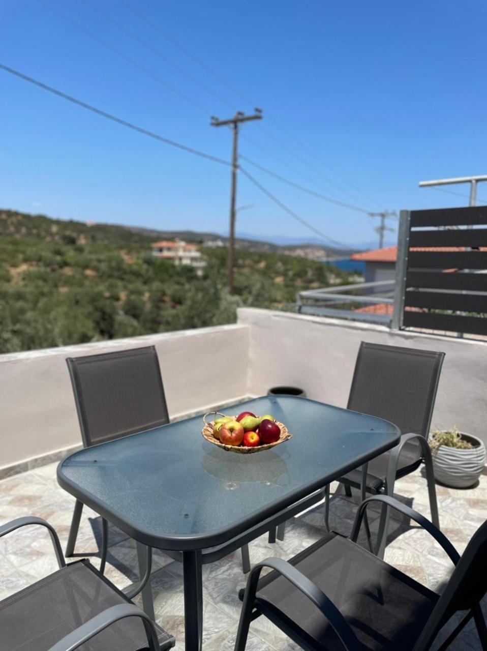 Mimosa House Holiday home
